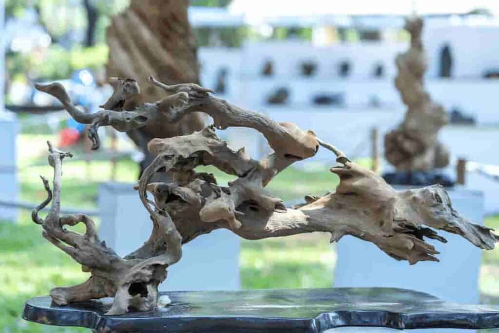 an artistic driftwood centerpiece - BrightSwirl