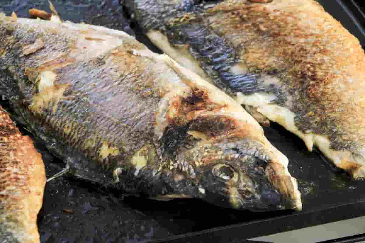 How To Grill On The Beach Simple Methods To Prepare Food