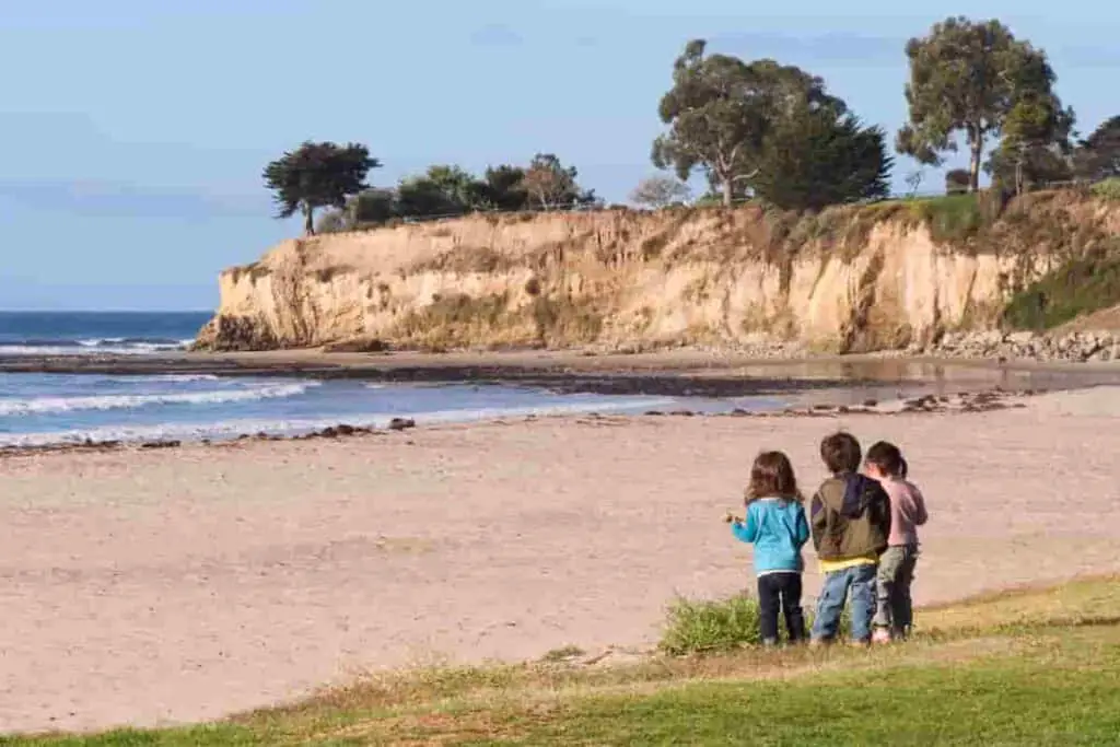 Children can learn a lot at the beach