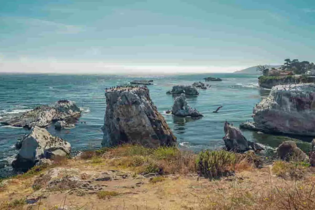 ocean landscape in pismo beach california at a park