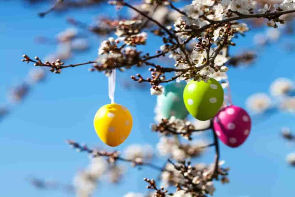spring branches and flowers decorated with easter eggs