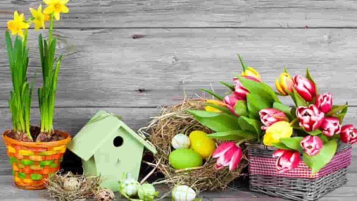 flowers for home decor indicates spring