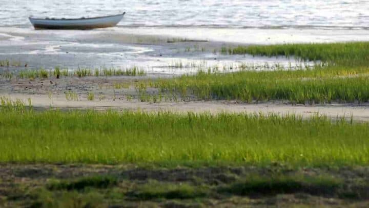 Best Beach Towns Near Boston for Relaxation and Adventure