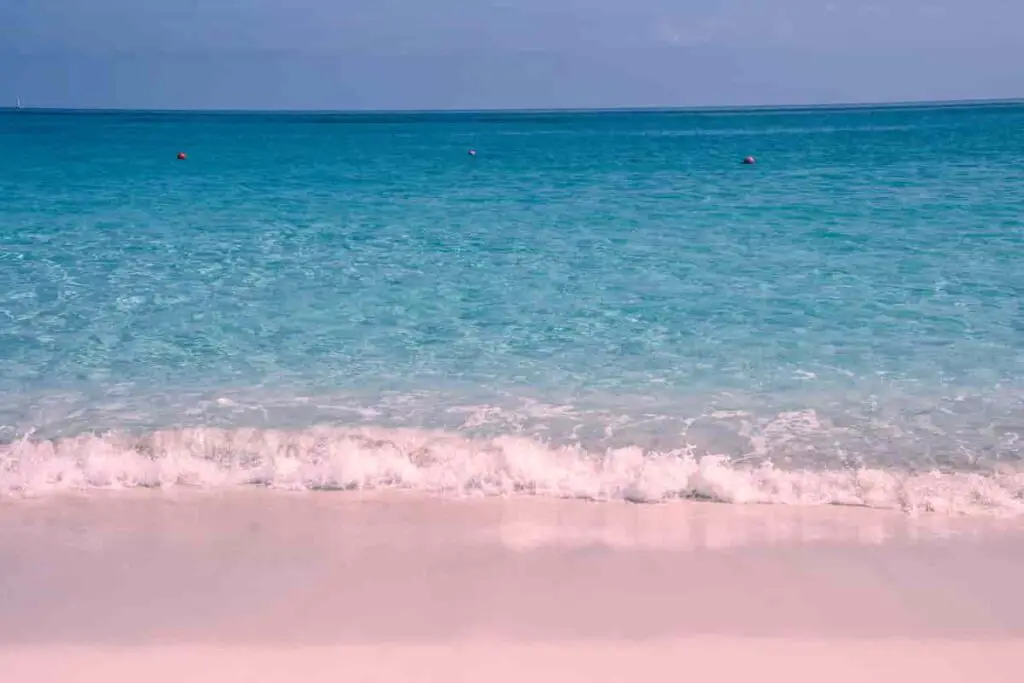 escape to pink sand beach bahamas plus facts excursion weddings