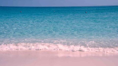 escape to pink sand beach bahamas plus facts excursion weddings