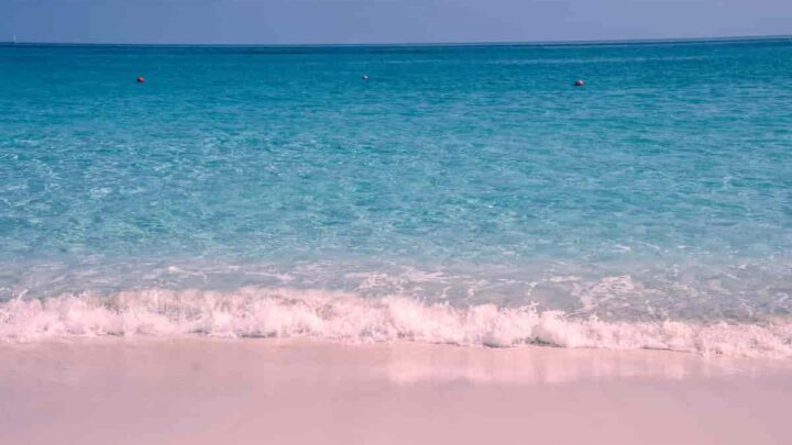 escape to pink sand beach bahamas plus facts excursion weddings