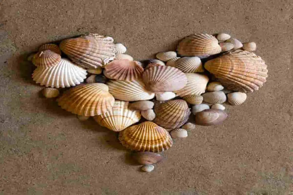 creating some new beach art decor for your beach house is easy to do