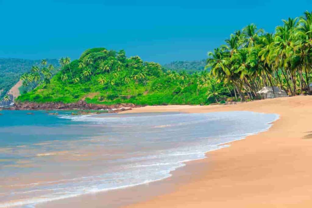 travel destinations in Goa with beach and palm trees