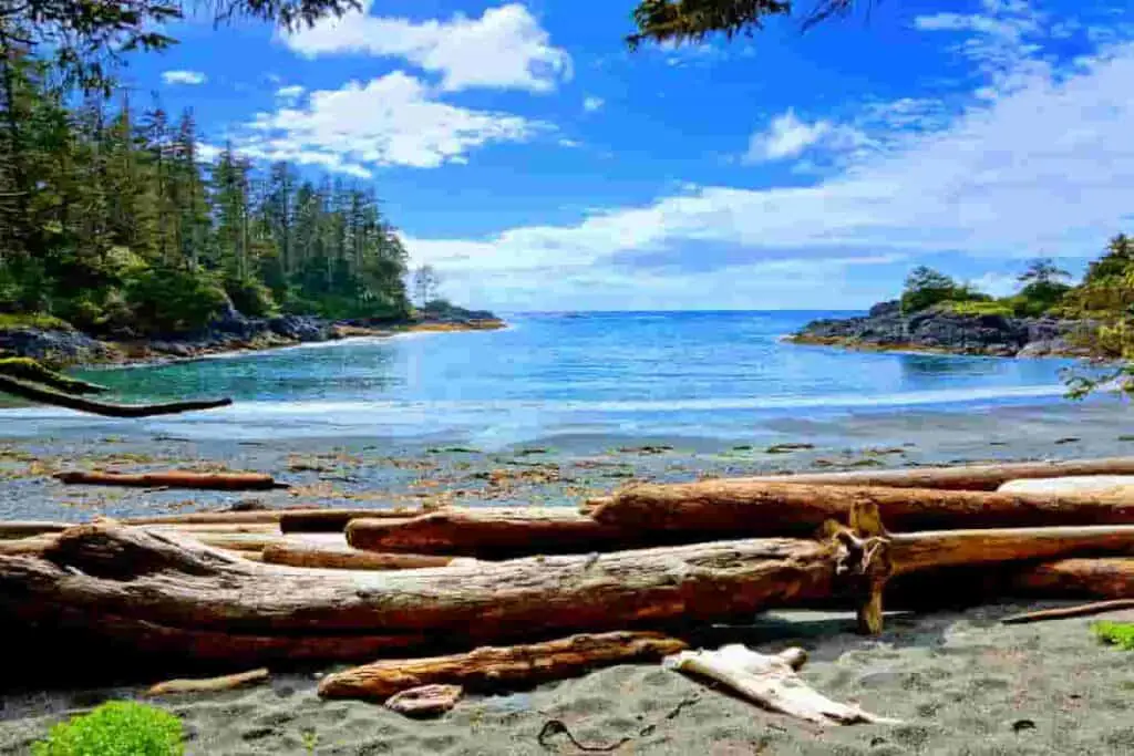 Best Beach Towns in Canada- Surprising Beauty of Canadian Coast British Columbia