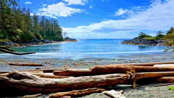 Best Beach Towns in Canada- Surprising Beauty of Canadian Coast British Columbia