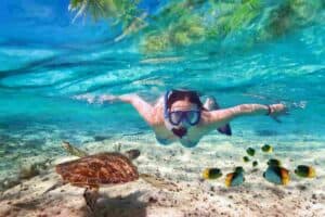 11 Best Snorkeling in Puerto Vallarta- Spots, Plus Tours Puerto Nuevo