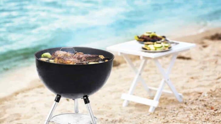 Top 15 Easy Beach Grilling Ideas- Prep, Grilled Food, Cleanup Plus Recipes