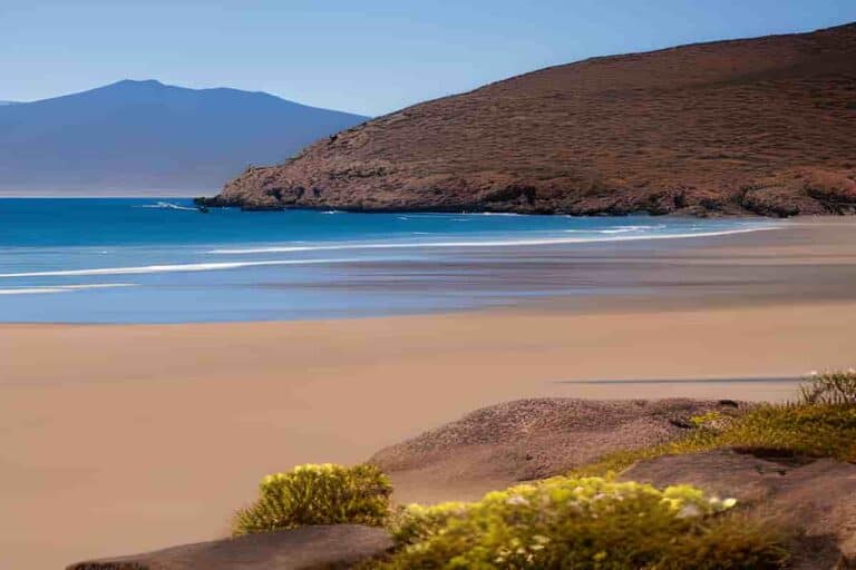 11 Best Beaches Ensenada Mexico [Beach Vacation] In Baja California