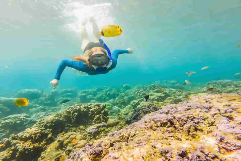snorkeler underwater with yellow fish swimming above head, Ensenada Snorkeling – 11 Best Spots, Tips, Boat Tours [Baja California] Mexico, ensenada snorkeling, snorkeling in ensenada, snorkeling ensenada, ensenada mexico snorkeling, snorkel ensenada, snorkeling in ensenada mexico, best snorkeling baja california