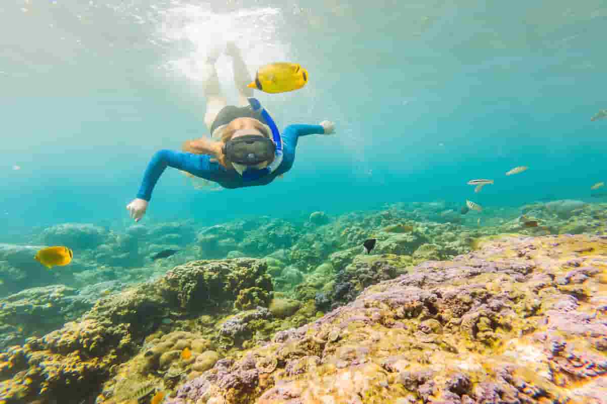 Dive Into Ensenada Snorkeling Top 11 Spots & Essential Tips Brightswirl