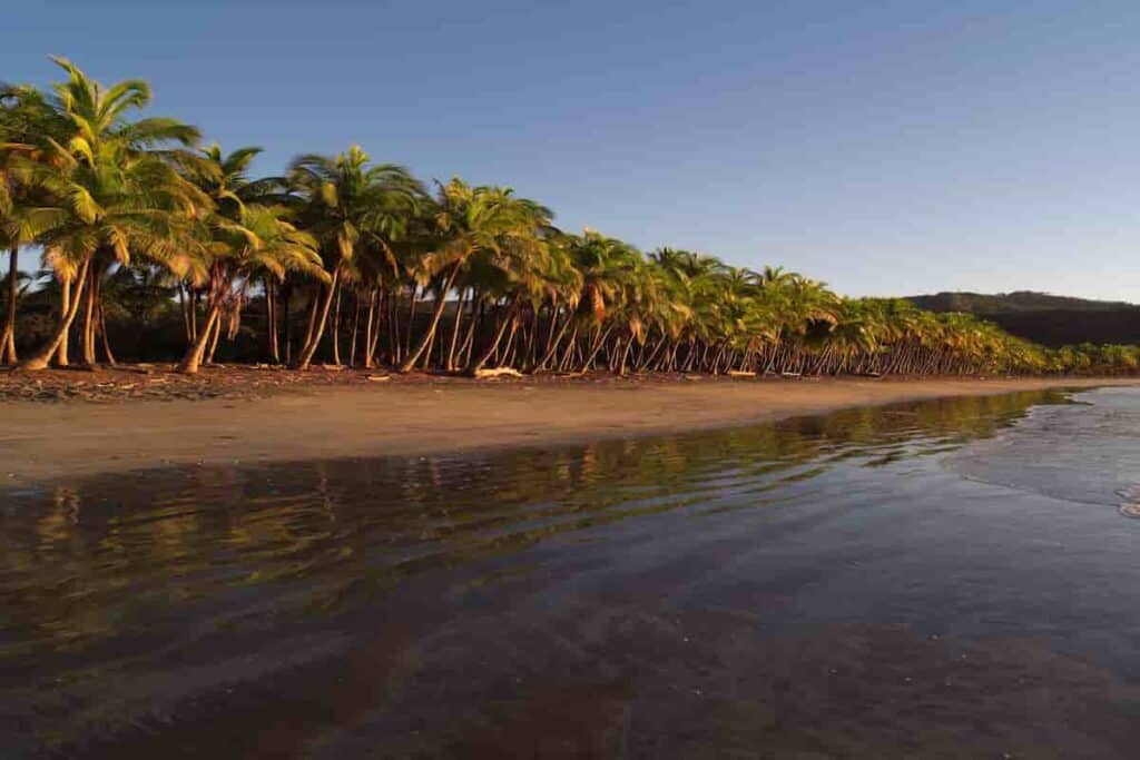best beach towns in Costa Rica have tropical jungle nearby