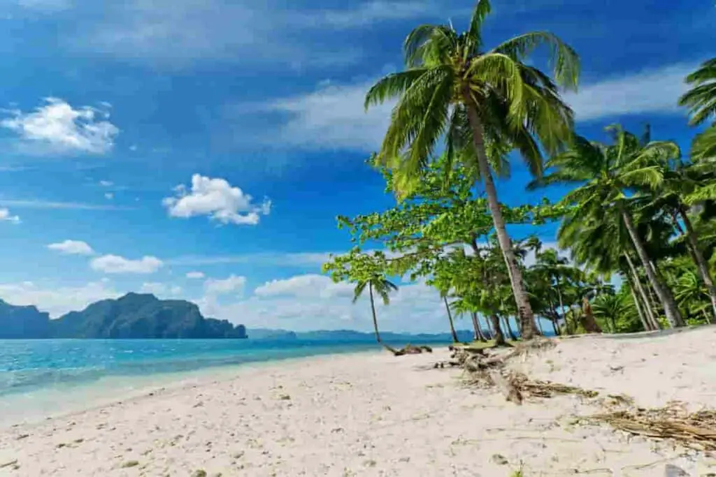 beach seascapes photo with ocean island and palm trees