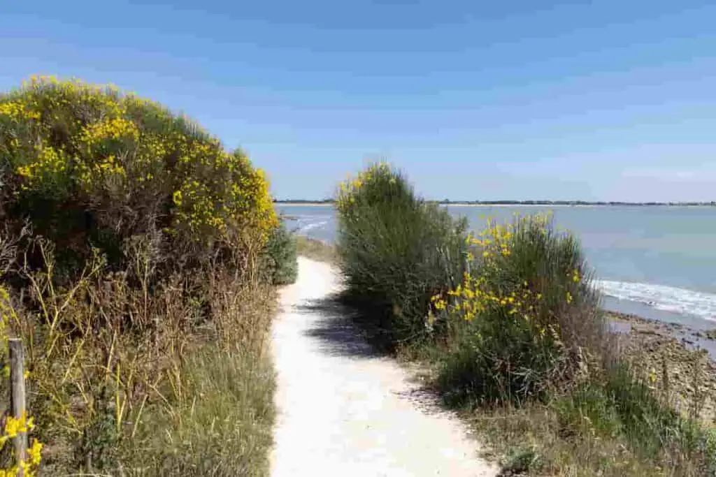 La Rochelle is a beach town 200km nearby Bordeaux and is one of the atlantic beaches