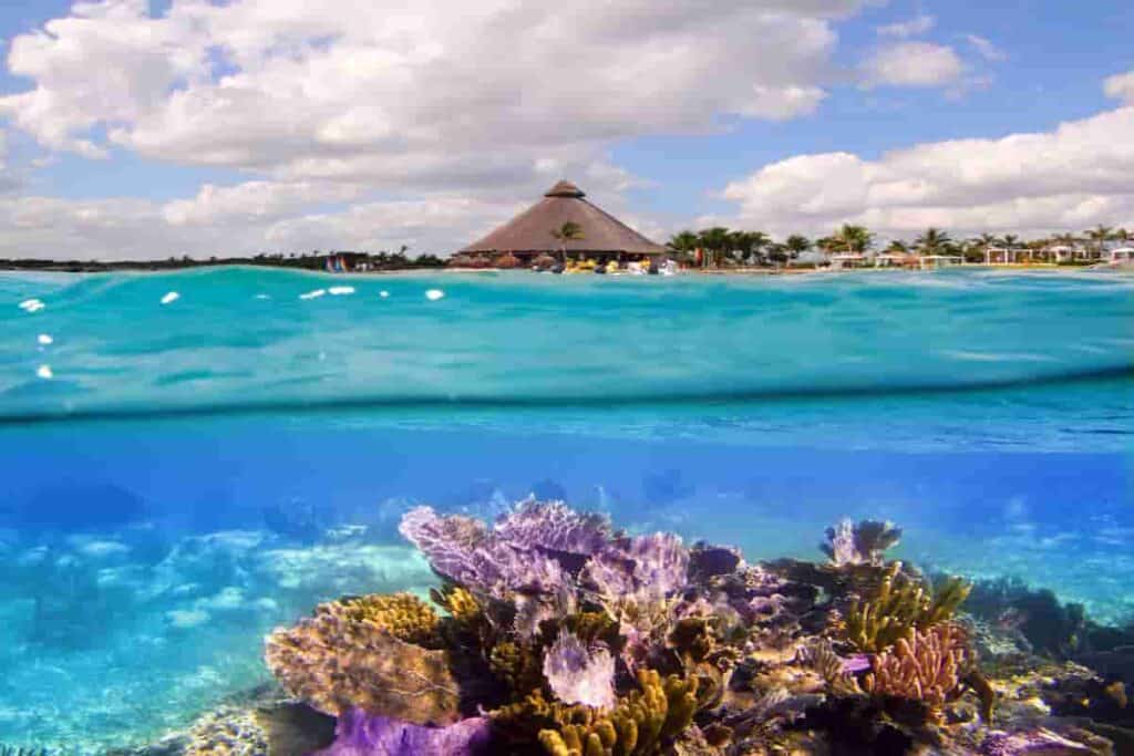 Snorkeling in tropical destinations are possible in the Mexican Caribbean