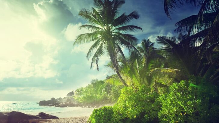 Hidden Island Shores - 9 Secluded [And Serene] Beaches For Privacy Seekers