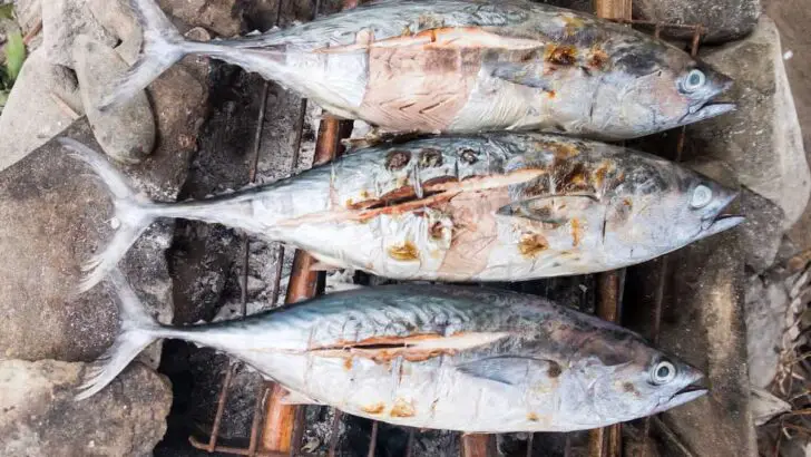 Seaside Delicacies Discover The Best Beach Food In The Philippines