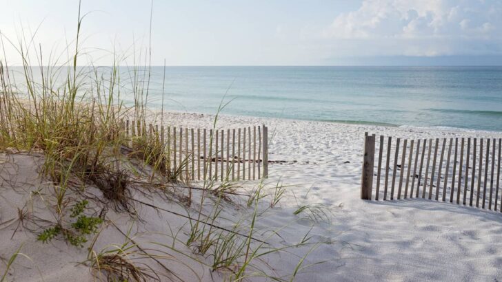 Anna Maria Island Beaches 7 Perfect Destinations For A Refreshing Florida Vacation