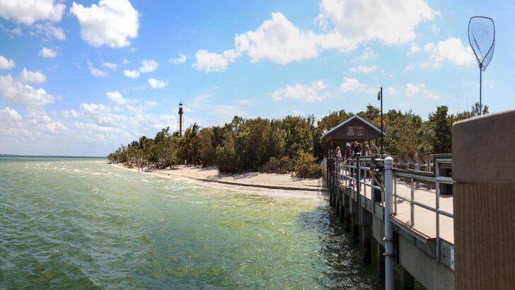 Sanibel Island Beach Getaway Discover The Pristine Shores And Turquoise Waters
