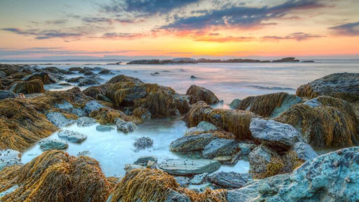 Newport Rhode Island 7 Stunning Beaches For A Relaxing Coastal Vacation