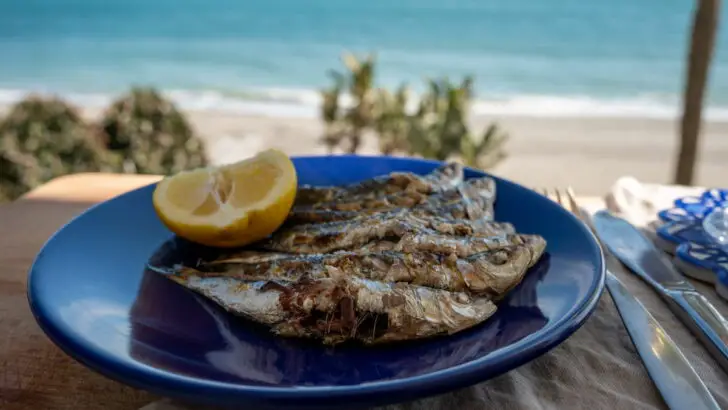 Fresh From The Sea Unforgettable Beachfront Seafood Experiences