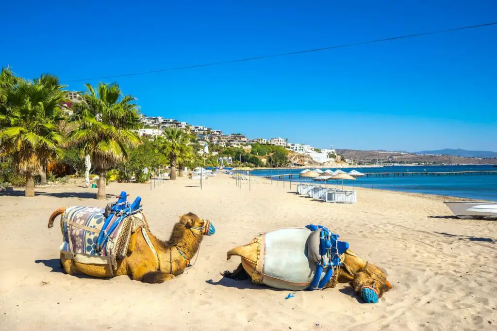 quiet european beach destinations in bodrum turkey