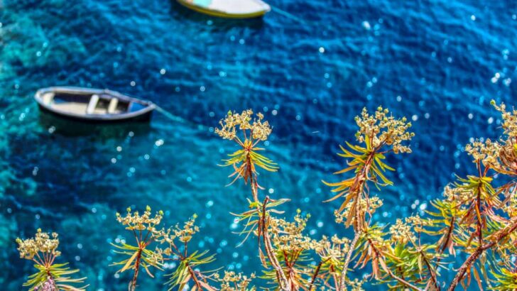 Naples Coastal Charms - A Guide To Beach Towns For Your Next Adventure [Plus Map]