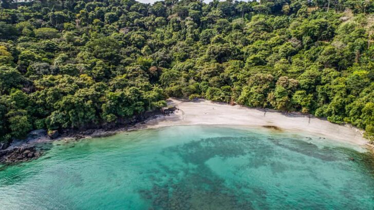 Pura Vida Awaits The Best Beach Towns Near San Jose