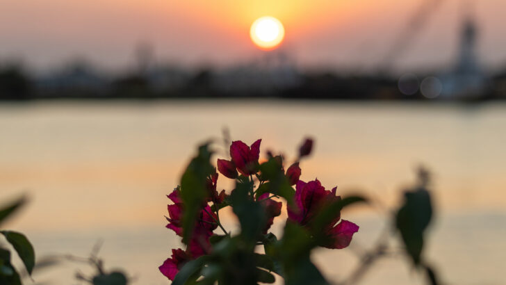 Veracruz Mexico Beaches-13 Best Beaches Plus Surprising Activities And Tips [For La Playa]