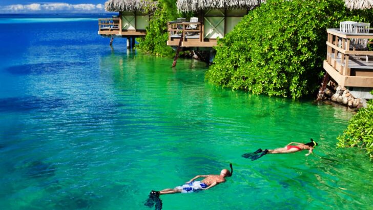 Island Beaches For Snorkeling Discover 9 Vibrant Marine Life And Ecosystems