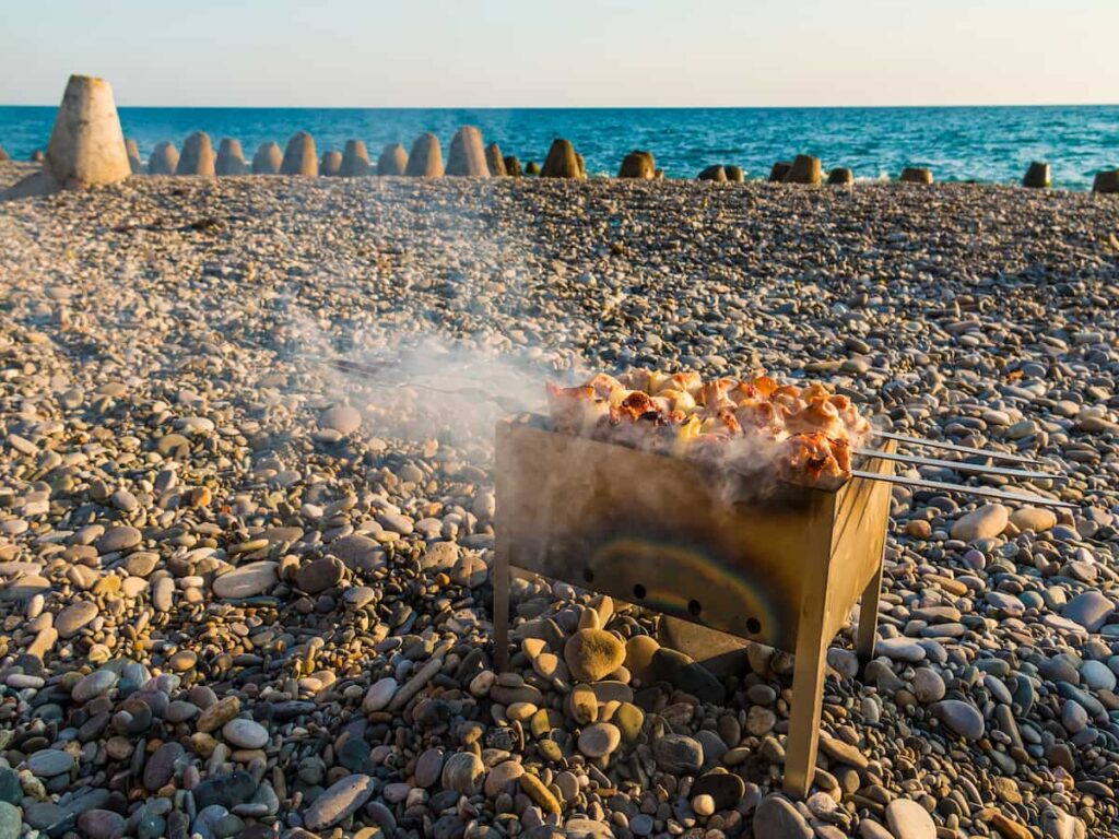 Clear Skies No Pests - 7 Tips For Managing Smoke And Pests At Your Beach Bbq