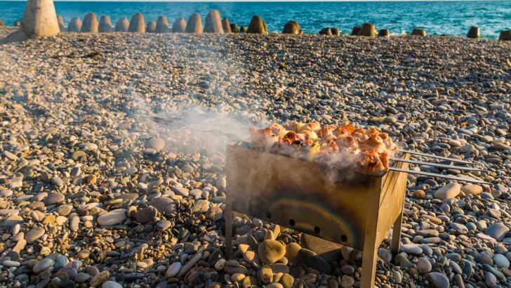 Clear Skies No Pests - 7 Tips For Managing Smoke And Pests At Your Beach Bbq