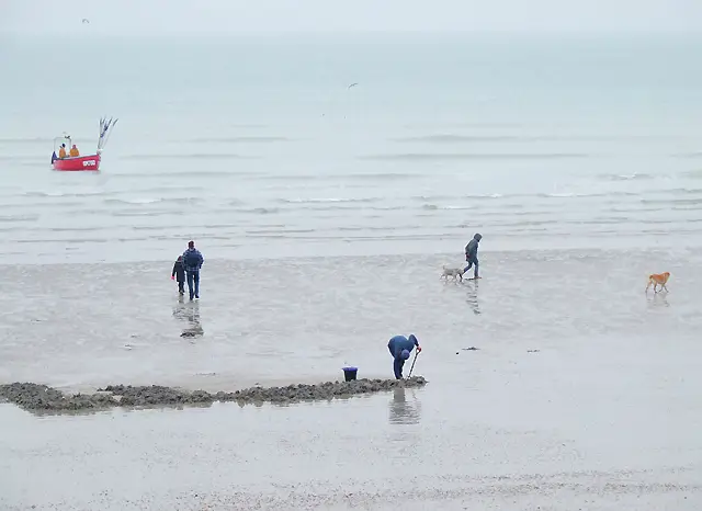 people looking for things and walking on the beach with cloudy skies, 9 [Best] Things to Do at the Beach When it’s Cloudy: A Gloomy Day Turned Into Fun, overcast beach, what to do on a cloudy day, cloudy beach day, cloudy day at the beach, activities during cloudy day, cloudy beach, beach on a cloudy day