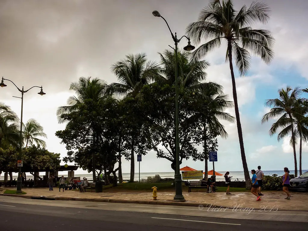 overcast day with palm trees and partly blue sky over beach, 9 [Best] Things to Do at the Beach When it’s Cloudy: A Gloomy Day Turned Into Fun, activities during cloudy day, cloudy beach, overcast beach, cloudy beach day, what to do on a cloudy day, beach on a cloudy day, cloudy day at the beach