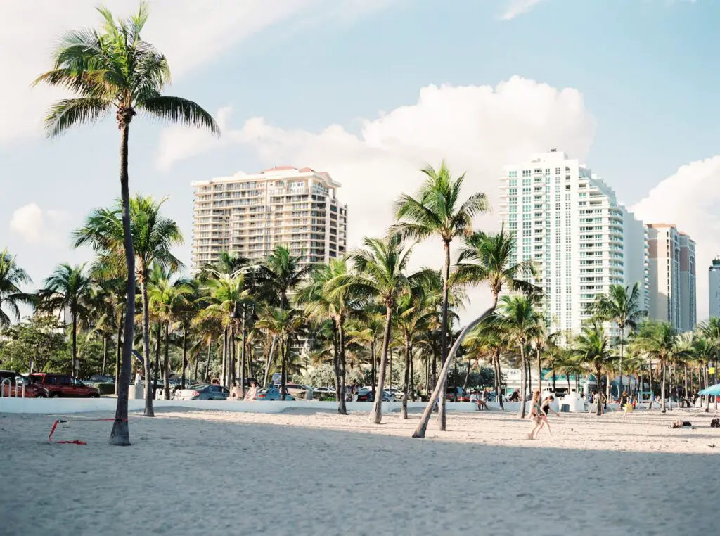 palm trees near buildings, What Are Fun Things to Do in Miami Beach - 9 Crazy Cool Ideas To Try