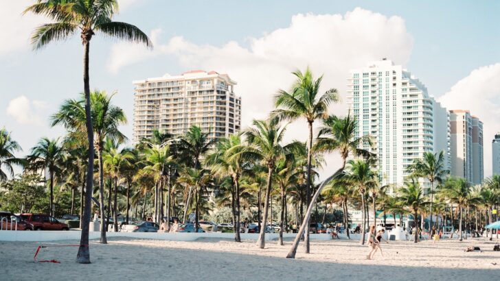 palm trees near buildings, What Are Fun Things to Do in Miami Beach - 9 Crazy Cool Ideas To Try